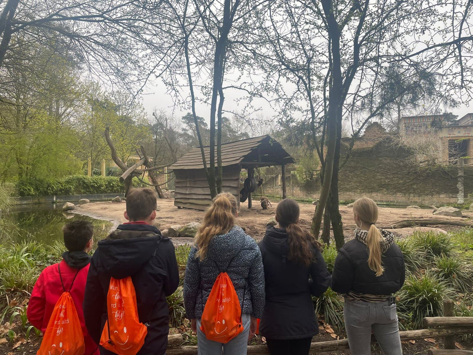 kinderen dagje uit naar dierentuin